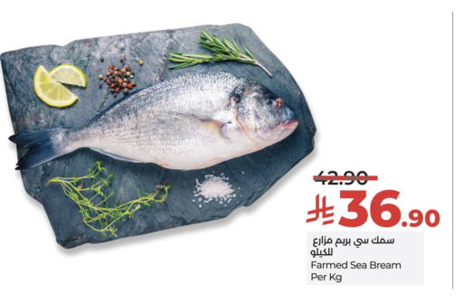 available at LULU Hypermarket in KSA, Saudi Arabia, Saudi - Hail