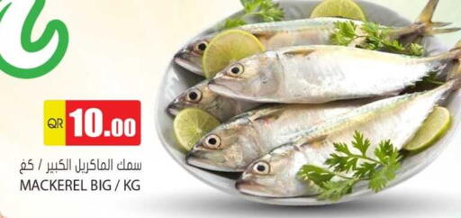 available at Grand Hypermarket in Qatar - Al Wakra