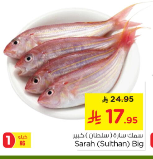 الأسماك الطازجة in نستو, المملكة العربية السعودية Offers - المملكة العربية السعودية available at نستو in مملكة العربية السعودية, السعودية, سعودية - بريدة