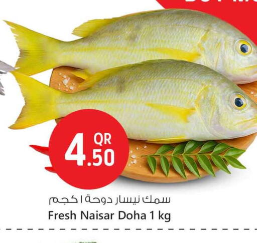 available at Safari Hypermarket in Qatar - Al Wakra