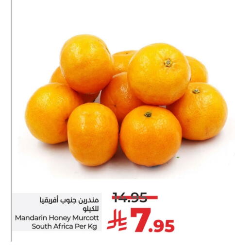 Orange from South Africa available at LULU Hypermarket in KSA, Saudi Arabia, Saudi - Hafar Al Batin