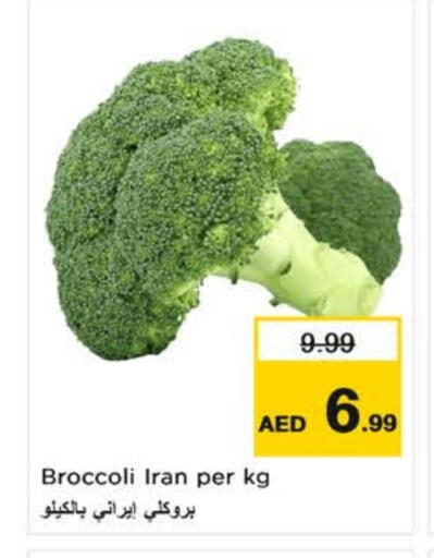 Broccoli available at نستو هايبرماركت in الإمارات العربية المتحدة , الامارات - دبي