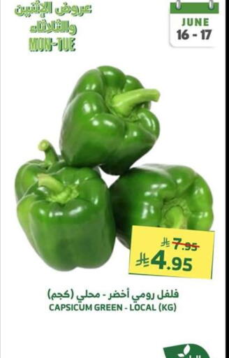الخضروات الطازجة in الراية, المملكة العربية السعودية Offers - المملكة العربية السعودية فلفل / فليفلة available at الراية in مملكة العربية السعودية, السعودية, سعودية - بيشة