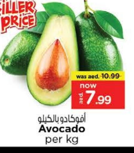 أفوكادو available at نستو هايبرماركت in الإمارات العربية المتحدة , الامارات - ٱلْفُجَيْرَة‎