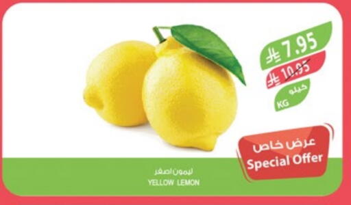 Lemon available at Farm  in KSA, Saudi Arabia, Saudi - Jazan