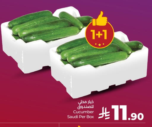 Fresh Vegetables in LULU Hypermarket, Saudi Arabia Offers - Saudi Arabia Cucumber from Saudi Arabia available at LULU Hypermarket in KSA, Saudi Arabia, Saudi - Dammam