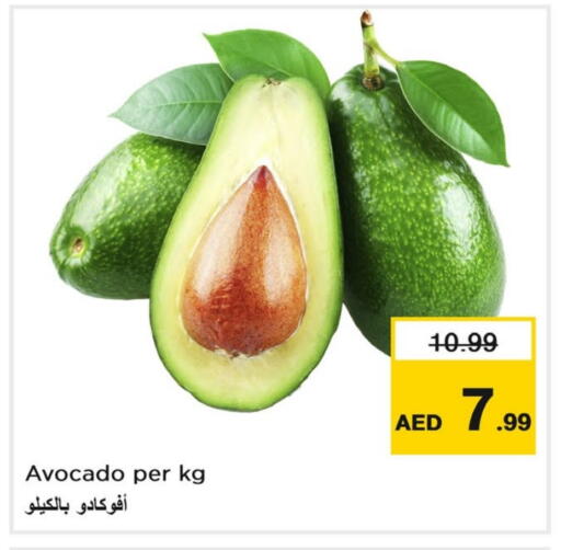 Avocado available at نستو هايبرماركت in الإمارات العربية المتحدة , الامارات - دبي
