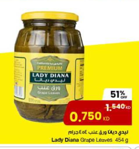 available at مركز سلطان in الكويت - محافظة الجهراء