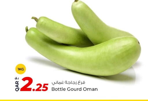 Gourd from Oman available at Rawabi Hypermarket in Qatar - Umm Salal