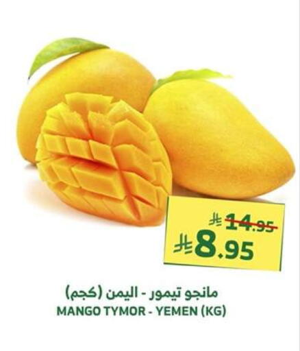 Mangoes from Yemen available at Al Raya in KSA, Saudi Arabia, Saudi - Medina