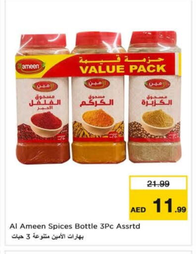 AL AMEEN Spices available at Nesto Hypermarket in UAE - Fujairah