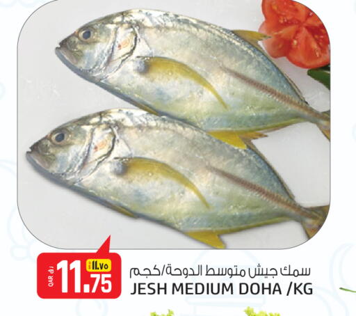 available at كنز ميني مارت in قطر - الدوحة