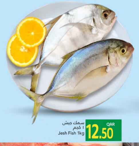 available at Gulf Food Center in Qatar - Al Rayyan