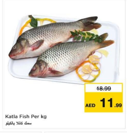 available at نستو هايبرماركت in الإمارات العربية المتحدة , الامارات - دبي