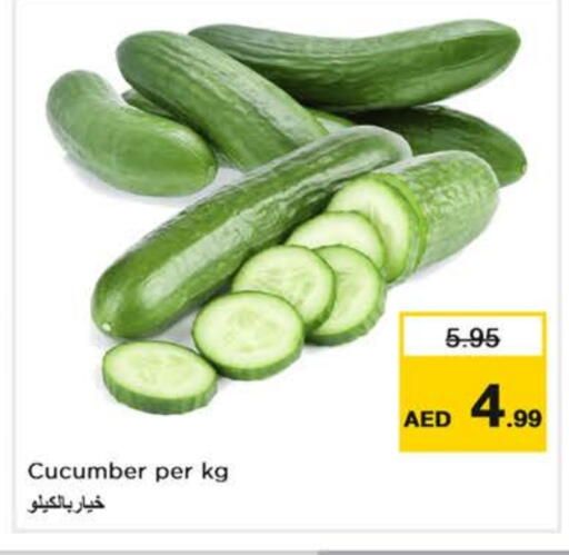 Cucumber available at نستو هايبرماركت in الإمارات العربية المتحدة , الامارات - دبي