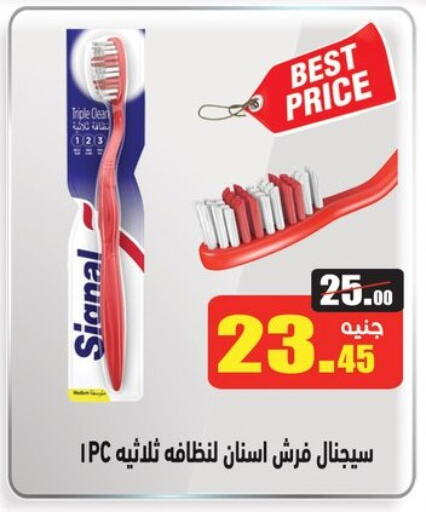 سيجنال available at أسواق العثيم in Egypt - القاهرة