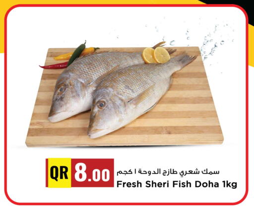 available at Marza Hypermarket in Qatar - Al Rayyan