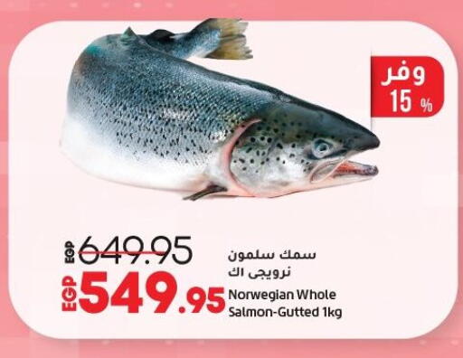 available at لولو هايبرماركت in Egypt - القاهرة