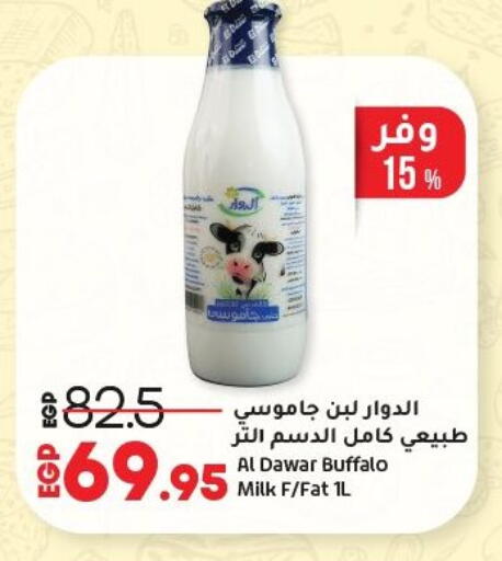 لبن available at لولو هايبرماركت in Egypt - القاهرة
