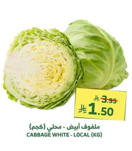 الخضروات الطازجة in الراية, المملكة العربية السعودية Offers - المملكة العربية السعودية كرنب available at الراية in مملكة العربية السعودية, السعودية, سعودية - بيشة