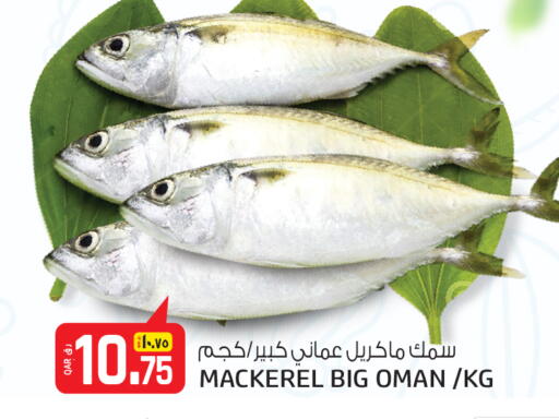 available at كنز ميني مارت in قطر - الدوحة