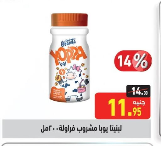 زبادي و لبنة in أسواق العثيم, Egypt Offers - Egypt available at أسواق العثيم in Egypt - القاهرة