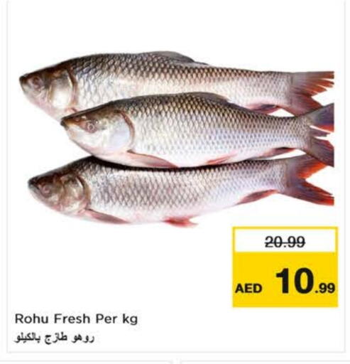 available at نستو هايبرماركت in الإمارات العربية المتحدة , الامارات - دبي