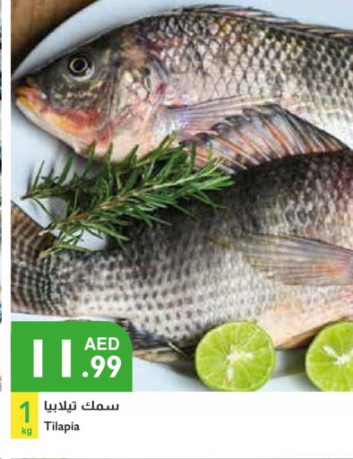 available at Istanbul Supermarket in UAE - Abu Dhabi