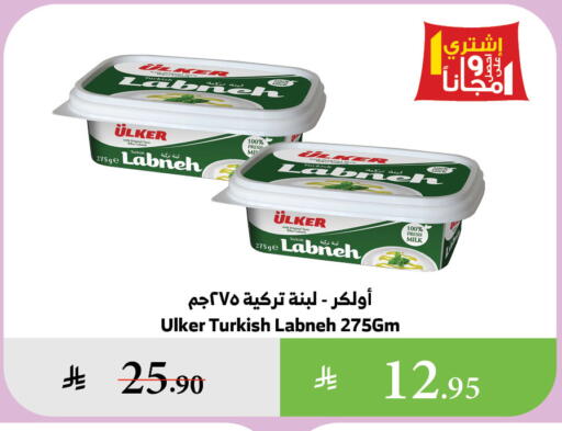 Labneh available at Al Raya in KSA, Saudi Arabia, Saudi - Bishah