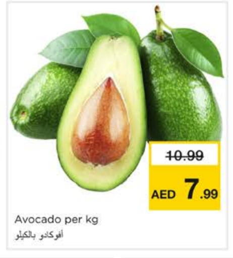 Avocado available at نستو هايبرماركت in الإمارات العربية المتحدة , الامارات - الشارقة / عجمان