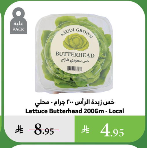 Fresh Vegetables in Al Raya, Saudi Arabia Offers - Saudi Arabia Lettuce from Saudi Arabia available at Al Raya in KSA, Saudi Arabia, Saudi - Medina