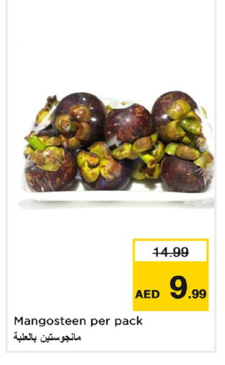 Mangosteen available at لاست تشانس in الإمارات العربية المتحدة , الامارات - ٱلْفُجَيْرَة‎