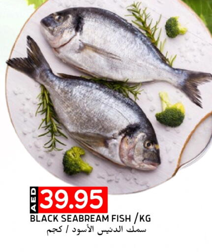 available at Select Market in UAE - Abu Dhabi