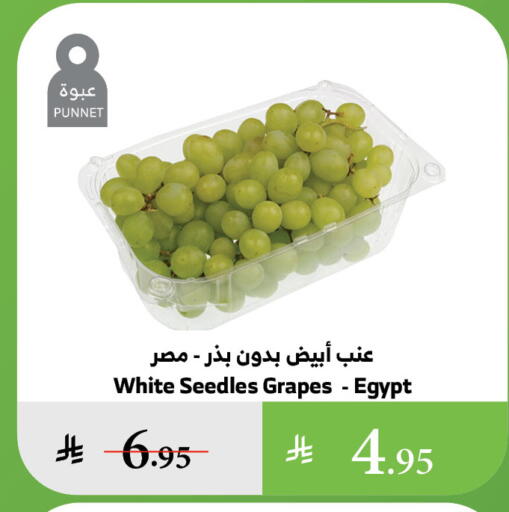 Grapes from Egypt available at Al Raya in KSA, Saudi Arabia, Saudi - Bishah