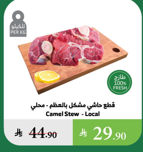 Camel meat available at Al Raya in KSA, Saudi Arabia, Saudi - Al Bahah