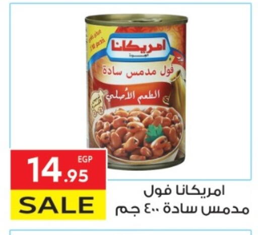 AMERICANA Fava Beans available at El Mahallawy Market  in Egypt - Cairo