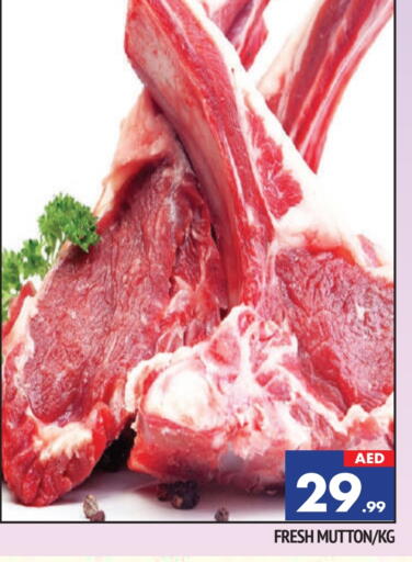 لحم الضأن / الغنم available at المدينة in الإمارات العربية المتحدة , الامارات - الشارقة / عجمان