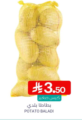 Potato available at Muntazah Markets in KSA, Saudi Arabia, Saudi - Saihat