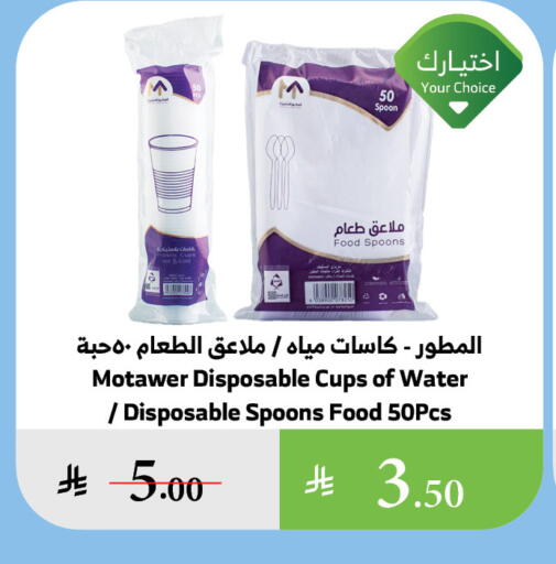 Disposables in Al Raya, Saudi Arabia Offers - Saudi Arabia Cup available at Al Raya in KSA, Saudi Arabia, Saudi - Al Qunfudhah