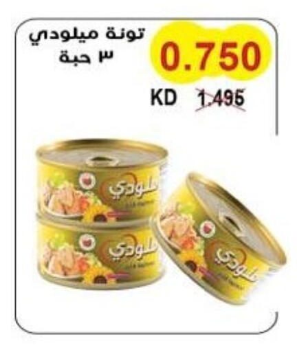 Tuna - Canned available at Salwa Co-Operative Society  in Kuwait - Jahra Governorate