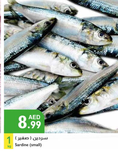 available at إسطنبول سوبرماركت in الإمارات العربية المتحدة , الامارات - ٱلْعَيْن‎