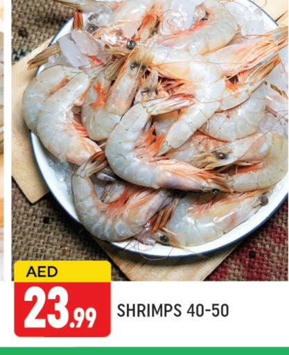 available at AL MADINA (Dubai) in UAE - Dubai