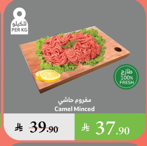 مقبلات و لحوم باردة in الراية, المملكة العربية السعودية Offers - المملكة العربية السعودية available at الراية in مملكة العربية السعودية, السعودية, سعودية - الطائف