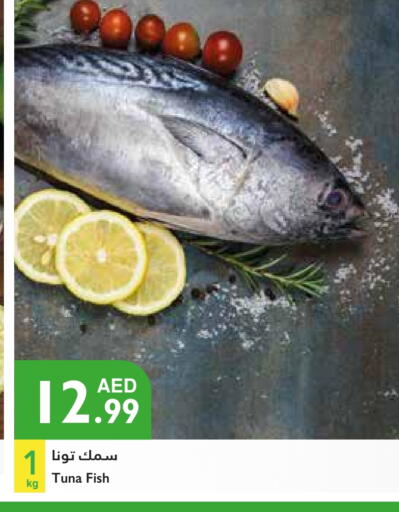 Tuna available at Istanbul Supermarket in UAE - Abu Dhabi