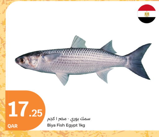 available at City Hypermarket in Qatar - Al Wakra