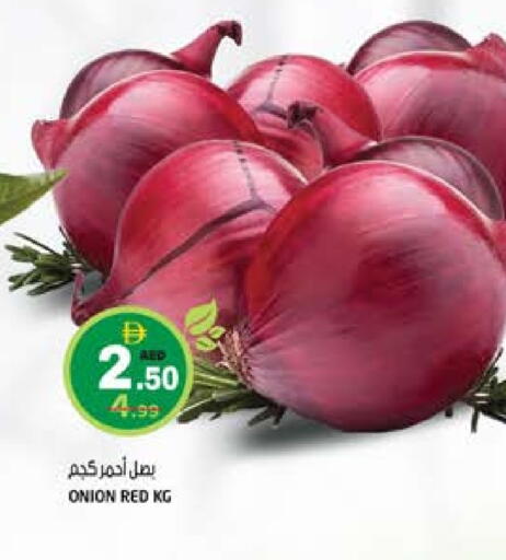 بصل available at هاشم هايبرماركت in الإمارات العربية المتحدة , الامارات - الشارقة / عجمان