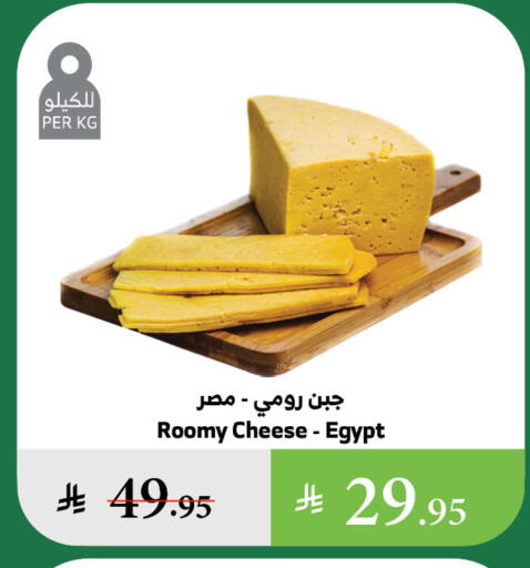 جبنة رومي available at الراية in مملكة العربية السعودية, السعودية, سعودية - القنفذة