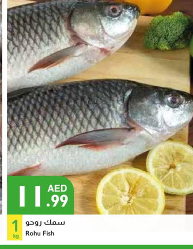 available at Istanbul Supermarket in UAE - Abu Dhabi