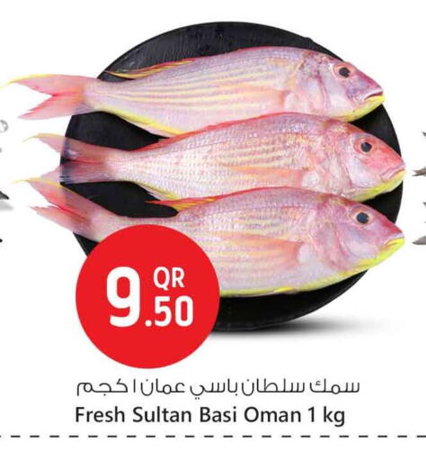 available at Safari Hypermarket in Qatar - Al Rayyan