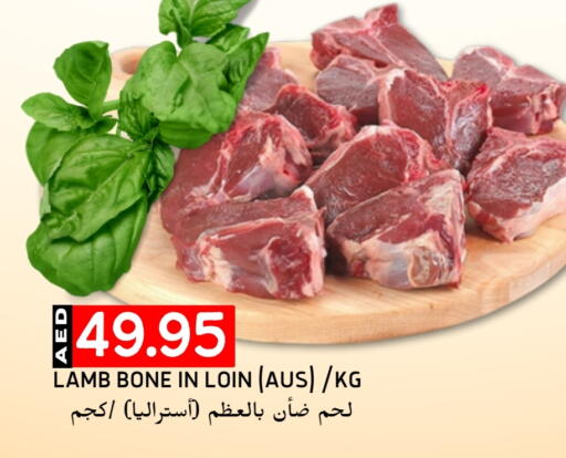 لحم الضأن / الغنم available at سيليكت ماركت in الإمارات العربية المتحدة , الامارات - أبو ظبي